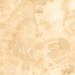 Плитка напольная Персей бежевая 40*40 см (10) — купить в Ярцево: цена за штуку, характеристики, фото
