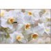 Купить Декоративное панно Белая орхидея 196х134 (4 листа) в Ярцево в Интернет-магазине Remont Doma