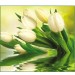 Купить Декоративное панно VIP Белые тюльпаны 294х260 (12 листов)   в Ярцево в Интернет-магазине Remont Doma