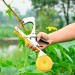 Купить Степлер (Тапенер) инструмент для подвязки растений Урожайная сотка SC-8102 в Ярцево в Интернет-магазине Remont Doma