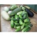 Купить Удобрение Агровита для огурцов  и кабачков 100г в Ярцево в Интернет-магазине Remont Doma