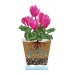 Купить Горшок цветочный для орхидеи "Лея" 5 литров (с автополивом)(прозрачный)  в Ярцево в Интернет-магазине Remont Doma