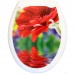 Сиденье жесткое с рисунком "Красная гербера" 1/10 — купить в Ярцево: цена за штуку, характеристики, фото
